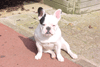 Chiwen 10 mois