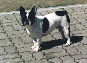 Vega de Landouar
