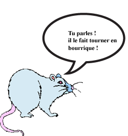 bulle02