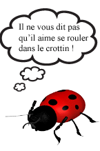 bulle05