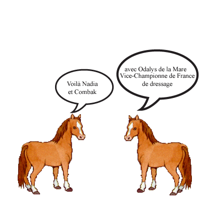 bulle06