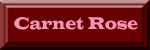 carnet rose