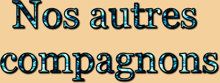 titre nos chiens