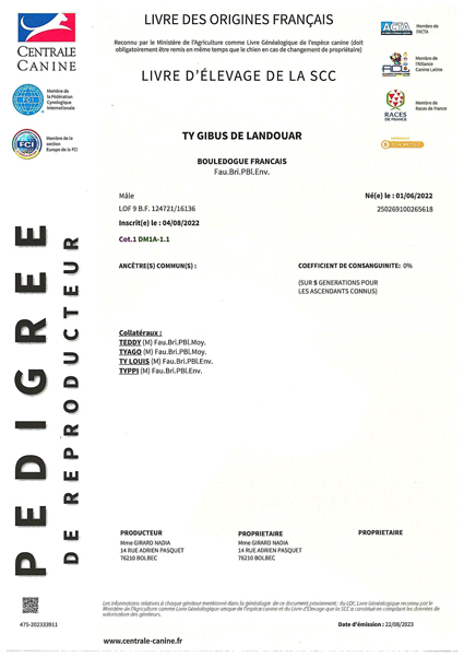 pedigree Gibus