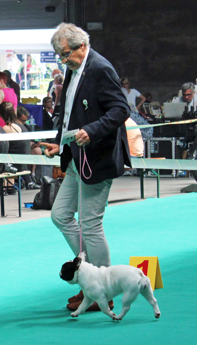 Herve
