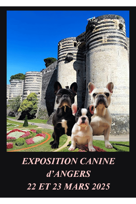 angers