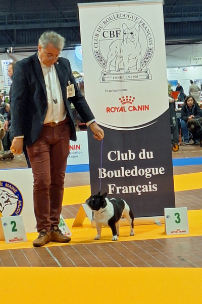 Angers