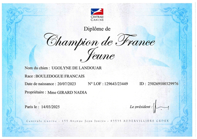 diplome