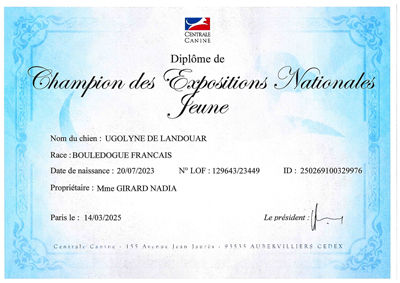 diplome