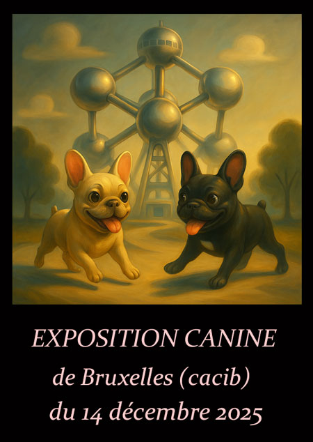 affiche Bruxelles