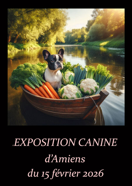 26-02-14Affiche Amiens2