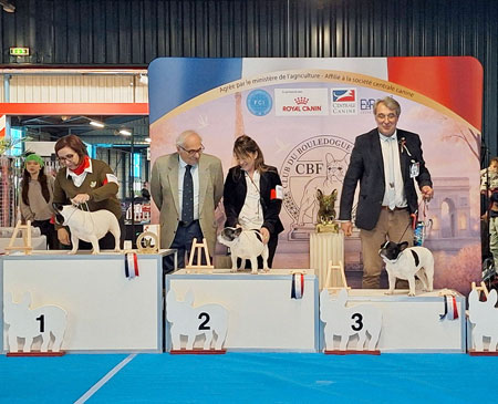 classe v&eacute;r&eacute;ran